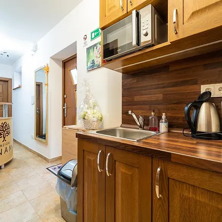 Guest house Zunama Bardejovske Kupele
